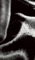 Ballet Slippers (Solarized)