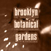 brooklyn botanical gardens